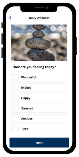 2-wellness-check-min